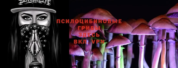 дмт Алзамай