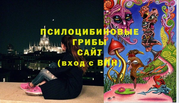 хмурый Алексеевка