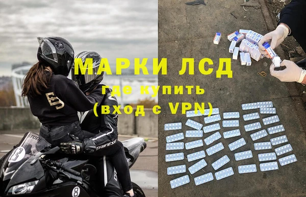 дмт Алзамай