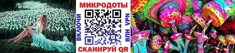 Псилоцибиновые грибы Cubensis  Салехард 